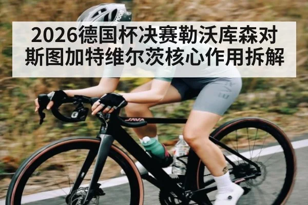 2026德国杯决赛勒沃库森对斯图加特维尔茨核心作用拆解